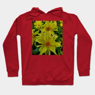 Yellow Bunch Photography My Hoodie